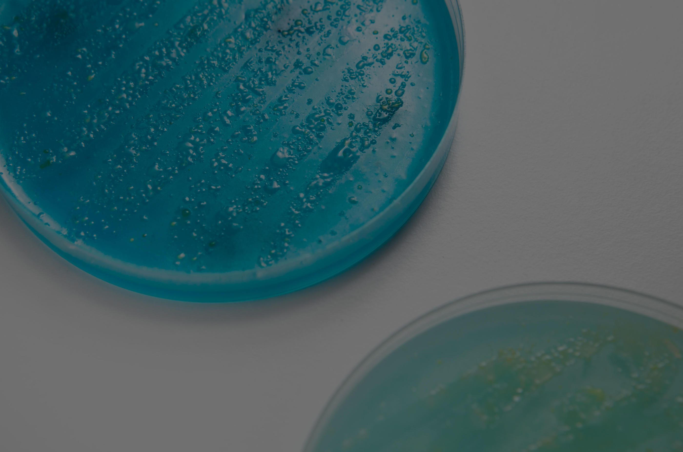 Microbiology - Columbia Laboratories